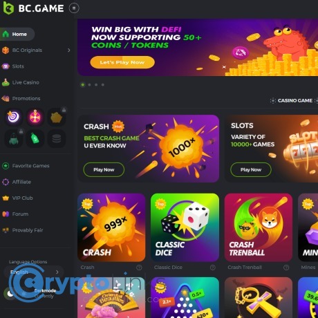 Understanding the BCGame Program A Comprehensive Guide Understanding the BCGame Program A Comprehensive Guide